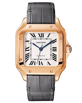 Часы Cartier Santos WGSA0028