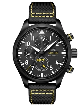 Часы IWC Pilot’s Watch Chronograph Royal Maces IW389107