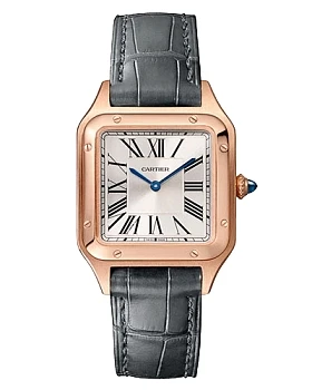 Часы Cartier Santos-Dumont WGSA0022