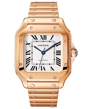 Часы Cartier Santos WGSA0031