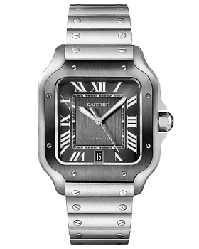 Часы Cartier Santos WSSA0037