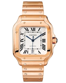 Часы Cartier Santos WGSA0018