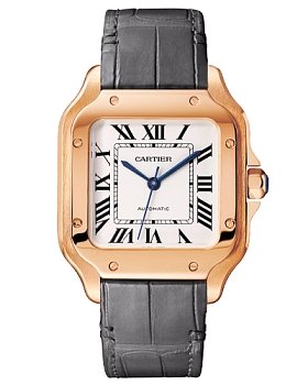 Часы Cartier Santos WGSA0028