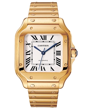 Часы Cartier Santos WGSA0030