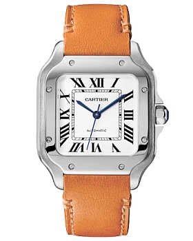 Часы Cartier Santos WSSA0010