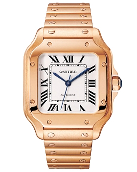 Часы Cartier Santos WGSA0031